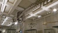 s-P1044578