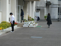 s-P1066674
