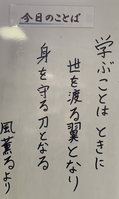 80423