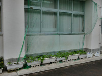 s-P1102420