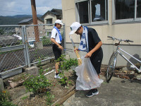 s-IMG_6771
