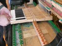 s-P1056368